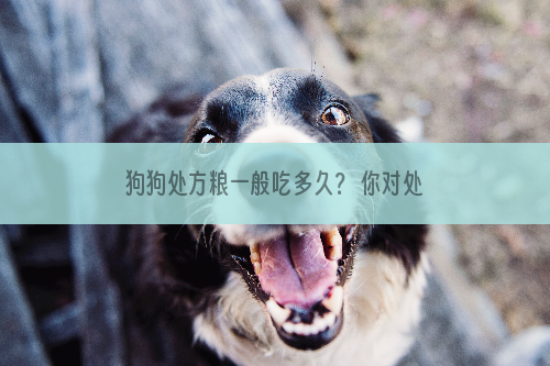 狗狗处方粮一般吃多久？ 你对处方粮是否有误区？
