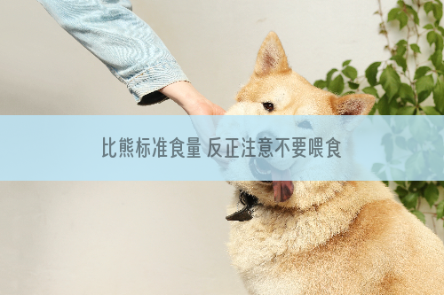 比熊标准食量 反正注意不要喂食过多了