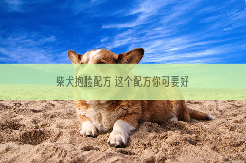 柴犬抱脸配方 这个配方你可要好好记住了！