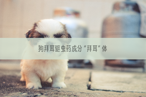 狗拜耳驱虫药成分 “拜耳” 体内驱虫药成分研析