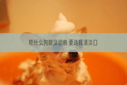 吃什么狗粮没泪痕 要选择清淡口味的狗粮
