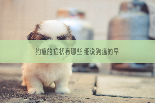 狗瘟的症状有哪些 细说狗瘟的早中晚期症状
