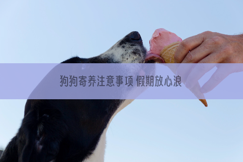 狗狗寄养注意事项 假期放心浪