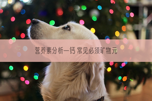 营养素分析—钙 常见必须矿物元素钙在狗狗体内的作用