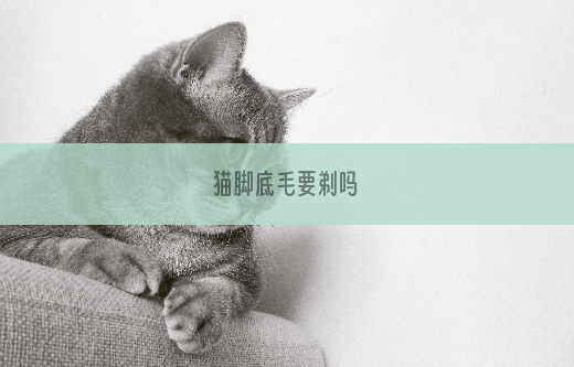 猫脚底毛要剃吗