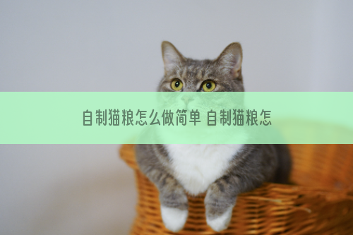 自制猫粮怎么做简单 自制猫粮怎么做好