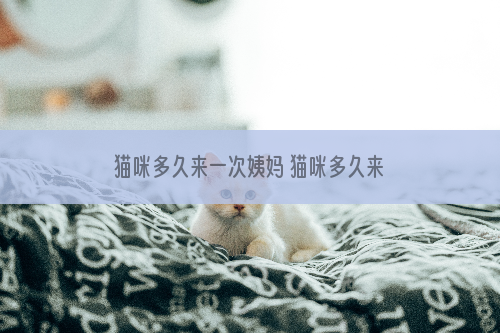 猫咪多久来一次姨妈 猫咪多久来姨妈