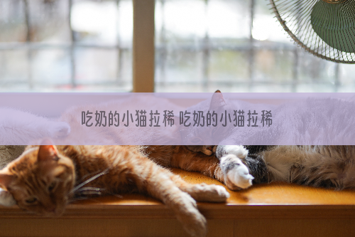 吃奶的小猫拉稀 吃奶的小猫拉稀怎么办