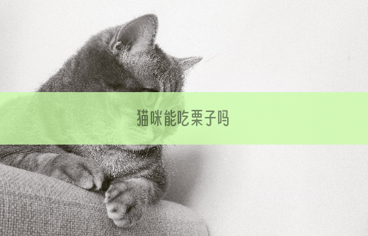 猫咪能吃栗子吗