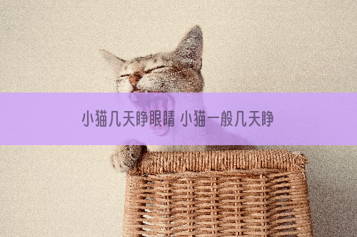 小猫几天睁眼睛 小猫一般几天睁眼睛