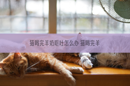 猫喝完羊奶呕吐怎么办 猫喝完羊奶呕吐