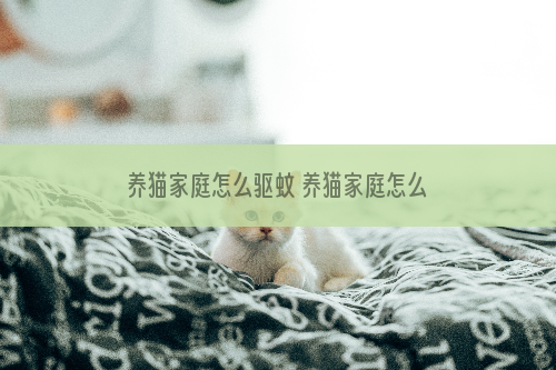 养猫家庭怎么驱蚊 养猫家庭怎么驱蚊好