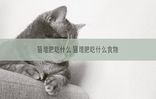 猫增肥吃什么 猫增肥吃什么食物