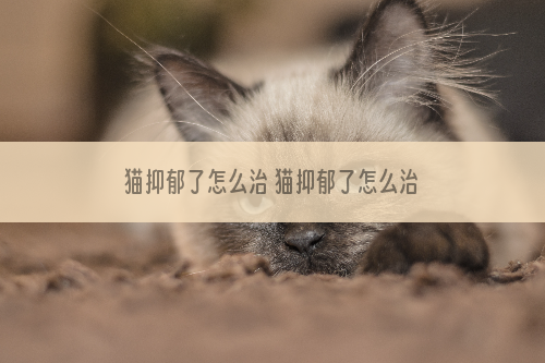 猫抑郁了怎么治 猫抑郁了怎么治效果好