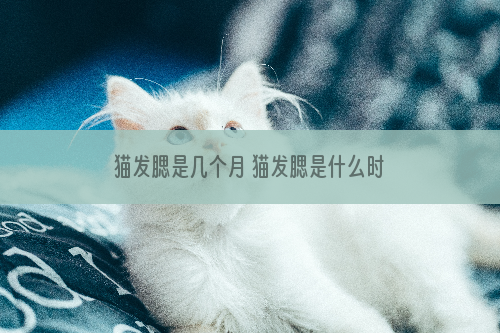 猫发腮是几个月 猫发腮是什么时候