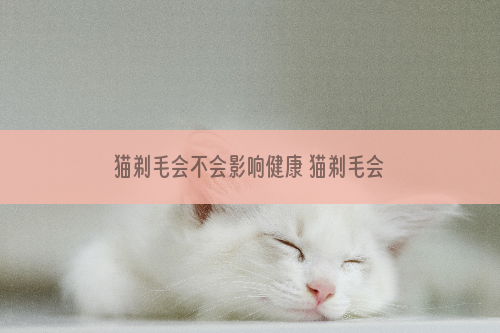 猫剃毛会不会影响健康 猫剃毛会不会不好