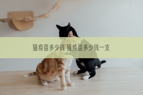 猫疫苗多少钱 猫疫苗多少钱一支