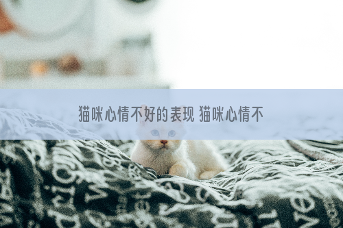 猫咪心情不好的表现 猫咪心情不好会拉稀吗