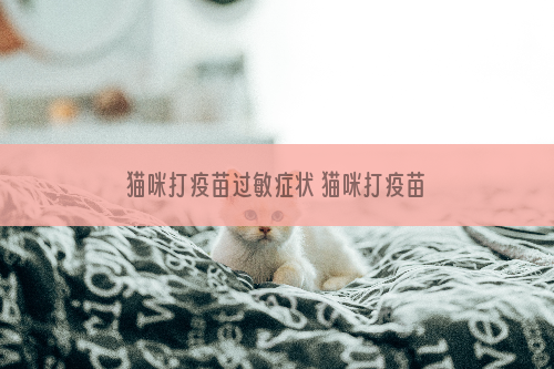 猫咪打疫苗过敏症状 猫咪打疫苗后的不良症状