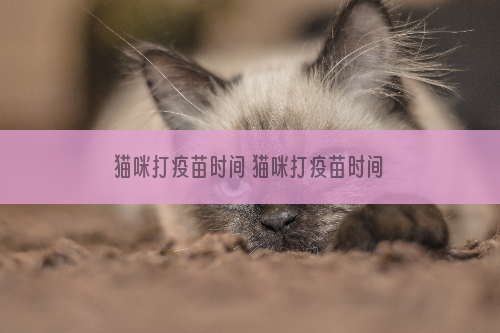 猫咪打疫苗时间 猫咪打疫苗时间间隔