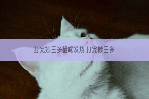 打完妙三多猫咪发烧 打完妙三多猫咪发烧正常吗