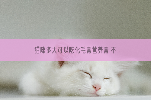 猫咪多大可以吃化毛膏营养膏 不要太早喂食！