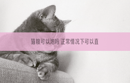 猫粮可以泡吗 正常情况下可以直接吃的！