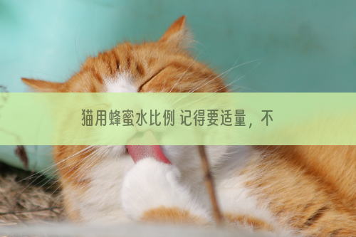 猫用蜂蜜水比例 记得要适量，不可以贪多！