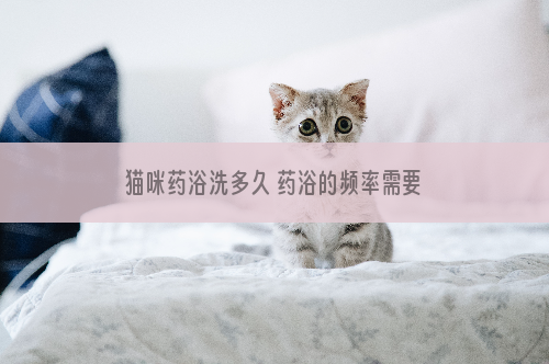 猫咪药浴洗多久 药浴的频率需要控制一下！