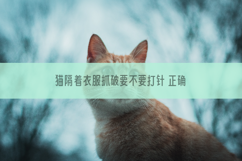 猫隔着衣服抓破要不要打针 正确理智看待狂犬病