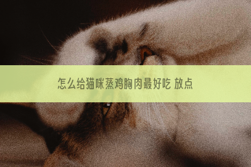 怎么给猫咪蒸鸡胸肉最好吃 放点鸡油让猫咪爱不释手