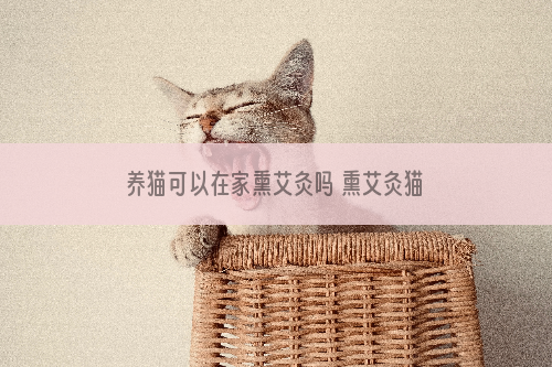 养猫可以在家熏艾灸吗 熏艾灸猫会中毒吗