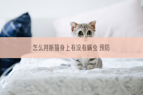 怎么判断猫身上有没有螨虫 预防螨虫的方法你要知道