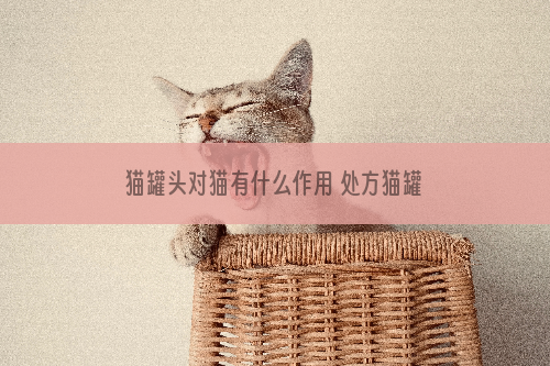 猫罐头对猫有什么作用 处方猫罐头了解一下