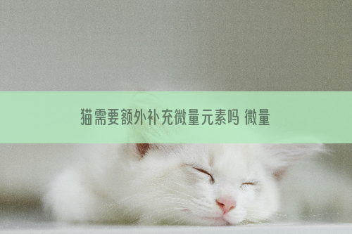 猫需要额外补充微量元素吗 微量元素多重要你不知道吧！