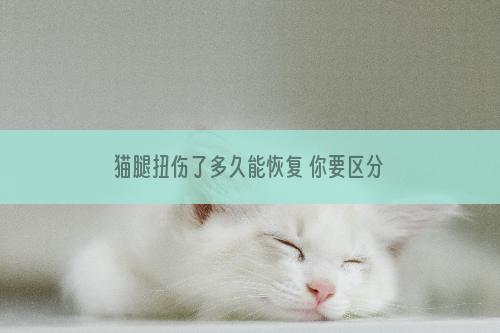 猫腿扭伤了多久能恢复 你要区分你的猫是不是扭伤了！