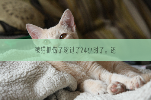 被猫抓伤了超过了24小时了。还可以打针吗 猫抓伤尽早注射