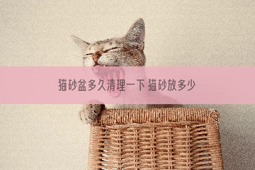 猫砂盆多久清理一下 猫砂放多少合适