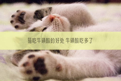 猫吃牛磺酸的好处 牛磺酸吃多了会有影响吗？