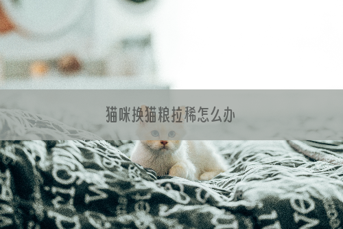 猫咪换猫粮拉稀怎么办