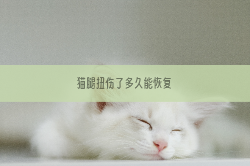 猫腿扭伤了多久能恢复