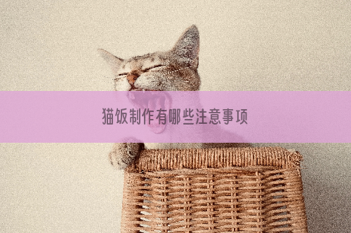 猫饭制作有哪些注意事项