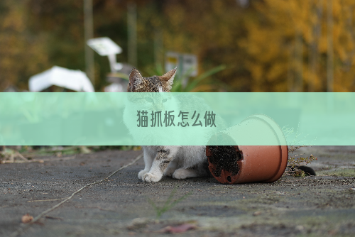 猫抓板怎么做