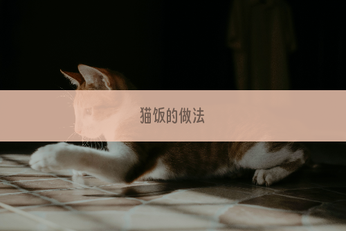 猫饭的做法