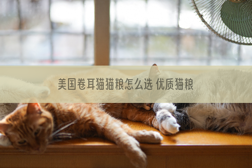 美国卷耳猫猫粮怎么选 优质猫粮挑选指南