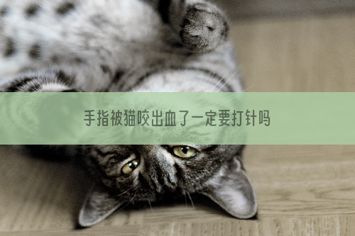 手指被猫咬出血了一定要打针吗