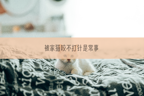 被家猫咬不打针是常事