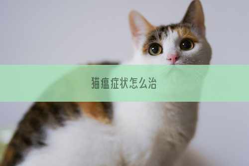 猫瘟症状怎么治