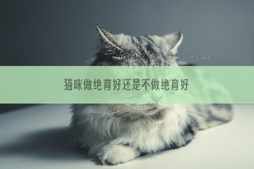 猫咪做绝育好还是不做绝育好