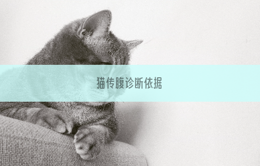 猫传腹诊断依据